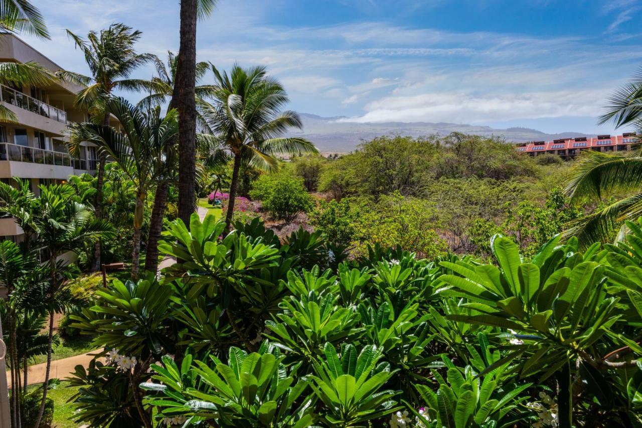 Maui Banyan H311 1Bd 2Ba 3 Min Walk To The Beach In The Heart Of South Kihei! Wailea  Exterior foto