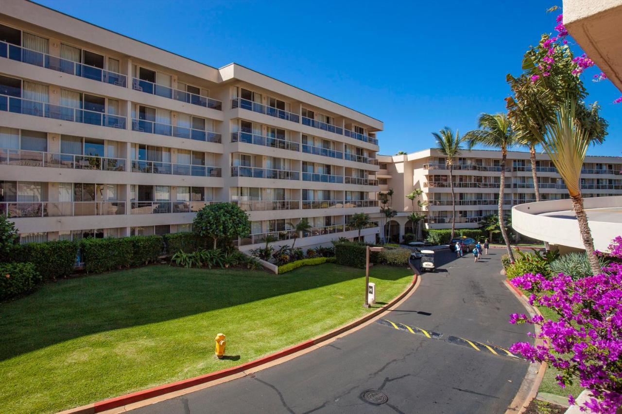 Maui Banyan H311 1Bd 2Ba 3 Min Walk To The Beach In The Heart Of South Kihei! Wailea  Exterior foto