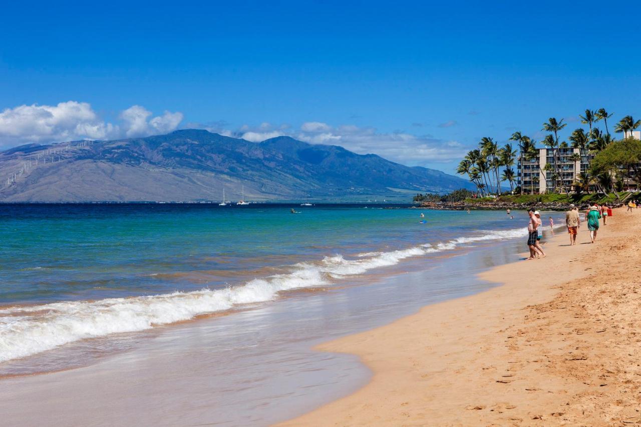 Maui Banyan H311 1Bd 2Ba 3 Min Walk To The Beach In The Heart Of South Kihei! Wailea  Exterior foto
