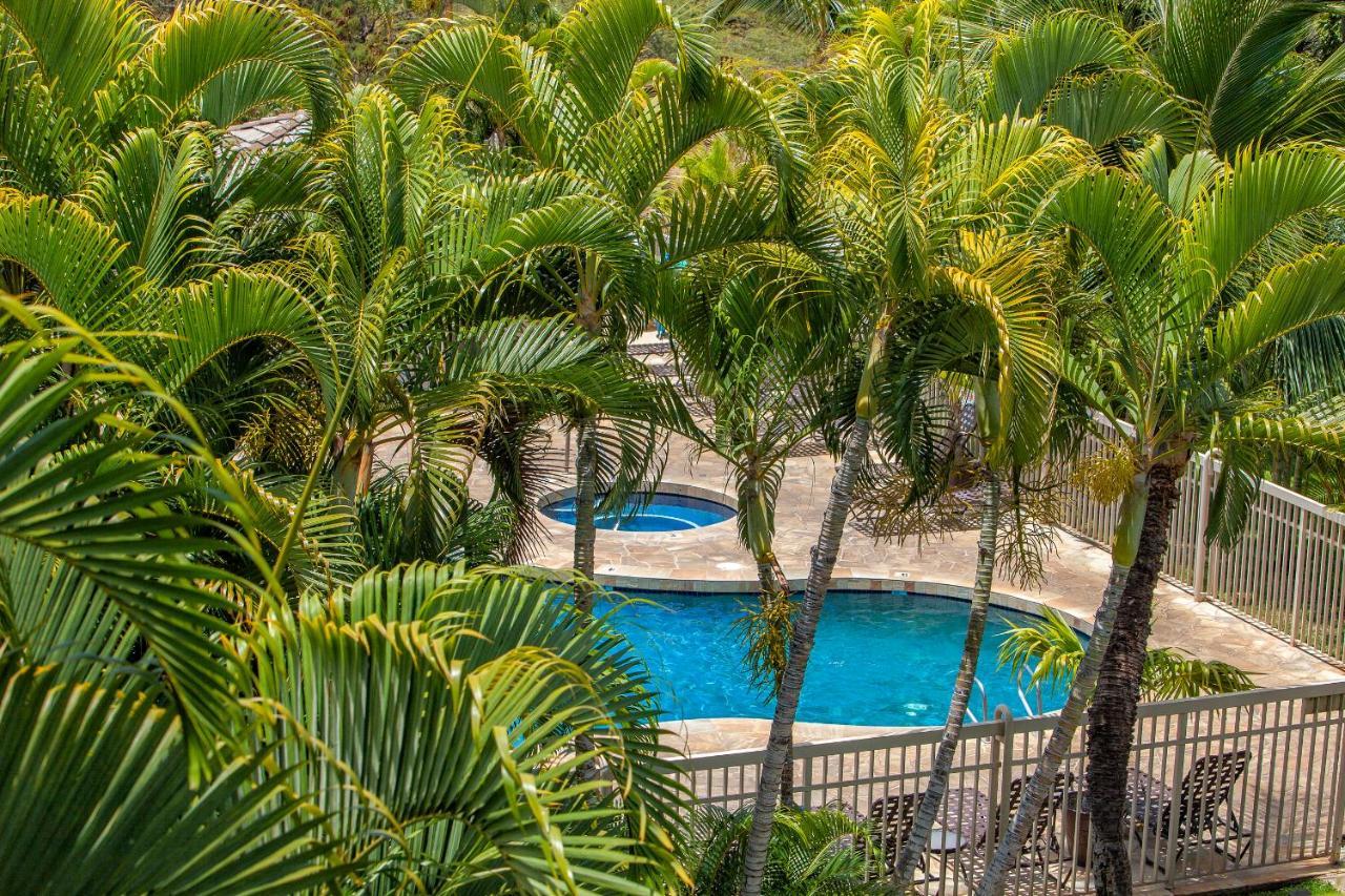 Maui Banyan H311 1Bd 2Ba 3 Min Walk To The Beach In The Heart Of South Kihei! Wailea  Exterior foto