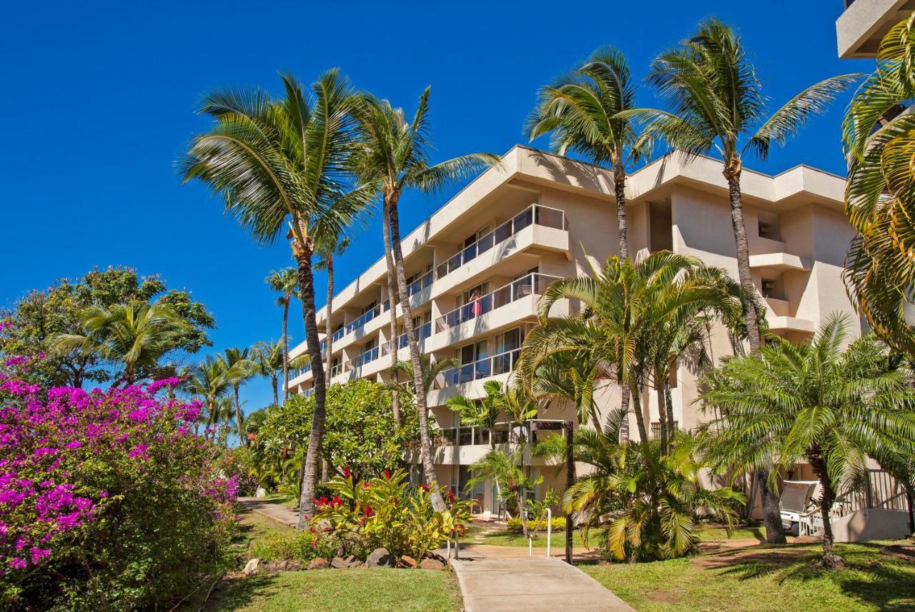 Maui Banyan H311 1Bd 2Ba 3 Min Walk To The Beach In The Heart Of South Kihei! Wailea  Exterior foto